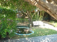 /album/criadouro-estrutura-e-passaros/quintal-1-jpg1/